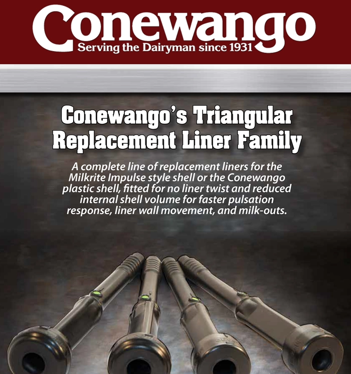 image of Conewango Traingular Replacement Liners brochure cover