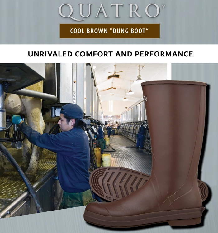Cover of the Conewango Quatro Cool Brown Dung Boot brochure cover
